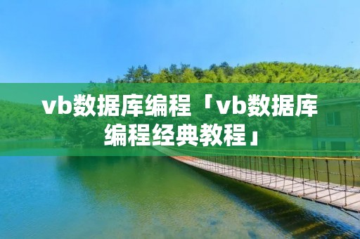 vb数据库编程「vb数据库编程经典教程」