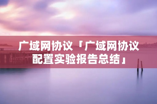 广域网协议「广域网协议配置实验报告总结」 广域网协议「广域网协议配置实验报告总结」