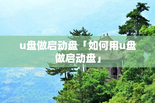 u盘做启动盘「如何用u盘做启动盘」