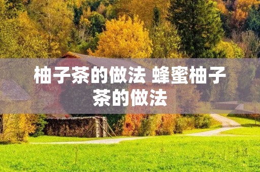 柚子茶的做法 蜂蜜柚子茶的做法