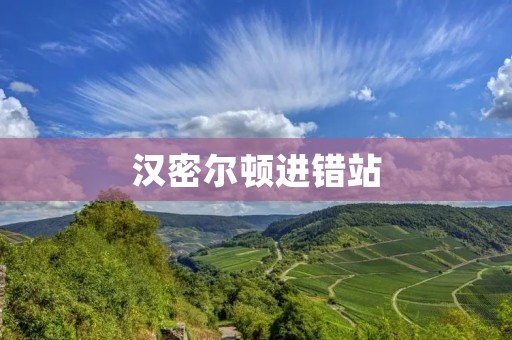 汉密尔顿进错站:一个让人意外的失误 汉密尔顿进错站:一个让人意外的失误