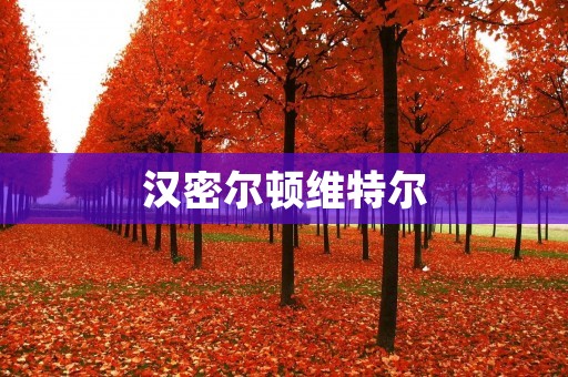 汉密尔顿维特尔:两位F1巨星的较量 汉密尔顿维特尔:两位F1巨星的较量