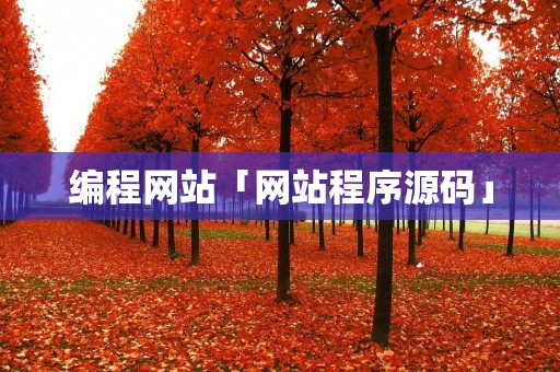 编程网站「网站程序源码」