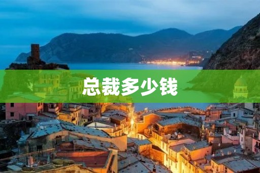 总裁多少钱:探寻高管薪酬的神秘面纱 总裁多少钱:探寻高管薪酬的神秘面纱