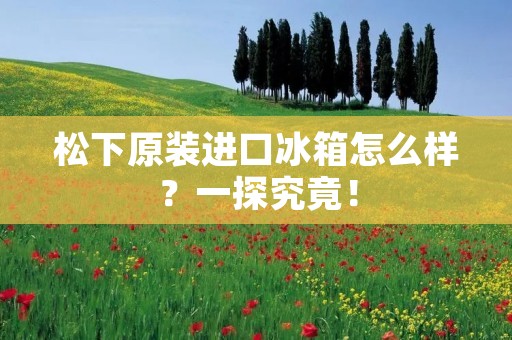 松下原装进口冰箱怎么样?一探究竟! 松下原装进口冰箱怎么样?一探究竟!