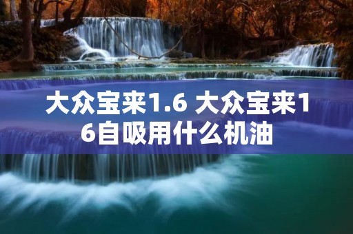 大众宝来1.6 大众宝来16自吸用什么机油