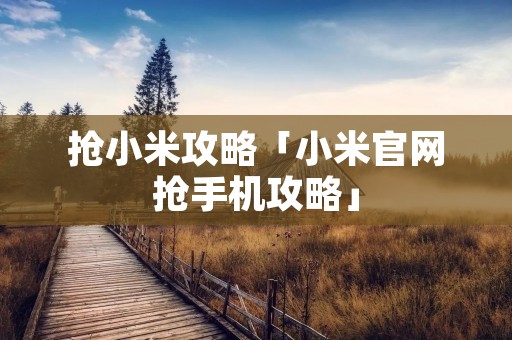抢小米攻略「小米官网抢手机攻略」 抢小米攻略「小米官网抢手机攻略」