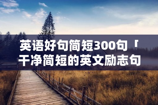 英语好句简短300句「干净简短的英文励志句子」