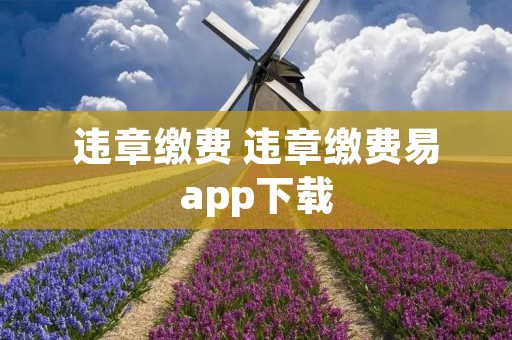 违章缴费 违章缴费易app下载