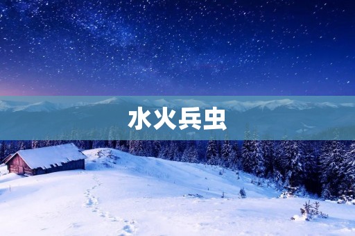 水火兵虫：探寻自然界的四大元素