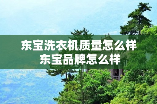 东宝洗衣机质量怎么样 东宝品牌怎么样