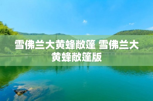 雪佛兰大黄蜂敞篷 雪佛兰大黄蜂敞篷版