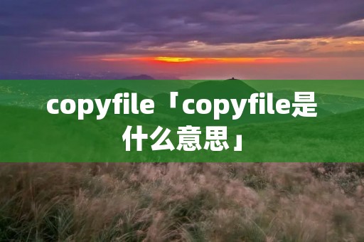 copyfile「copyfile是什么意思」
