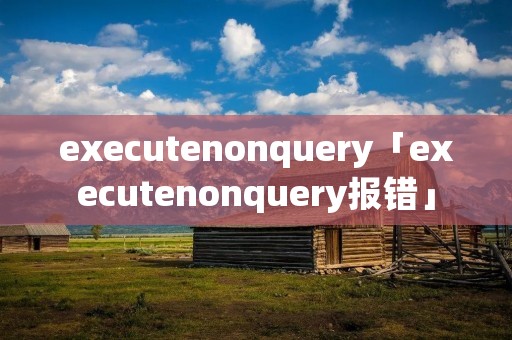 executenonquery「executenonquery报错」