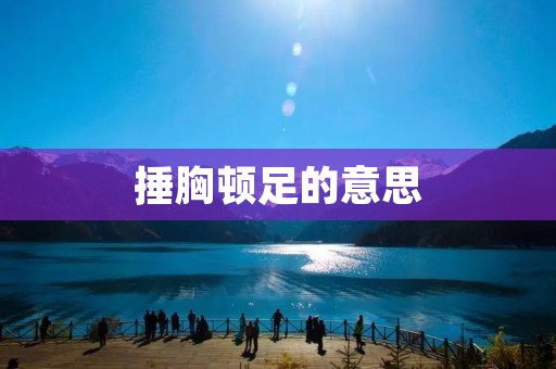 捶胸顿足的意思