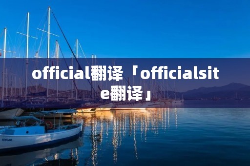 official翻译「officialsite翻译」