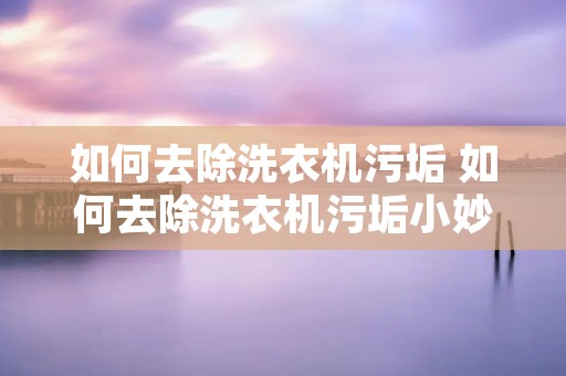 如何去除洗衣机污垢 如何去除洗衣机污垢小妙招