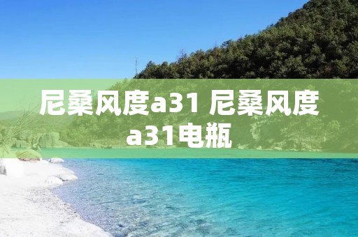 尼桑风度a31 尼桑风度a31电瓶