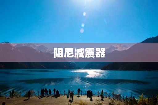 阻尼减震器:提供稳定与安全的减震效果 阻尼减震器:提供稳定与安全的减震效果