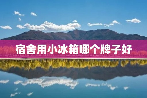 宿舍用小冰箱哪个牌子好