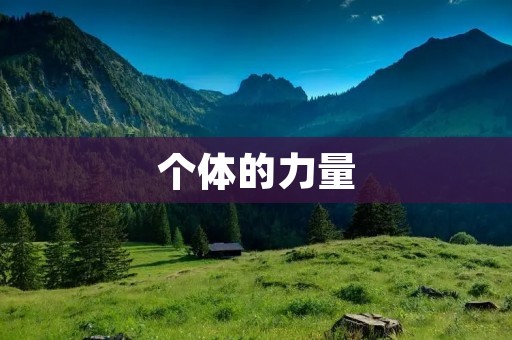 个体的力量:探索个人在社会中的价值 个体的力量:探索个人在社会中的价值