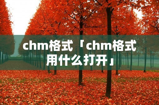 chm格式「chm格式用什么打开」
