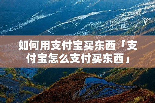 如何用支付宝买东西「支付宝怎么支付买东西」