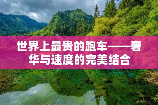 世界上最贵的跑车——奢华与速度的完美结合 世界上最贵的跑车——奢华与速度的完美结合