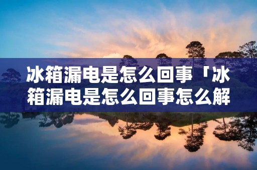 冰箱漏电是怎么回事「冰箱漏电是怎么回事怎么解决」