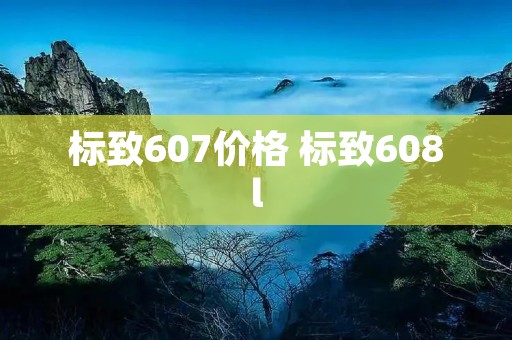 标致607价格 标致608l