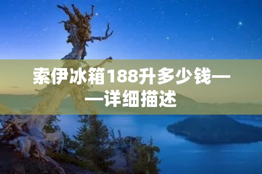 索伊冰箱188升多少钱——详细描述
