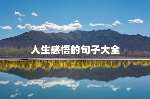 人生感悟的句子大全 人生感悟的句子大全