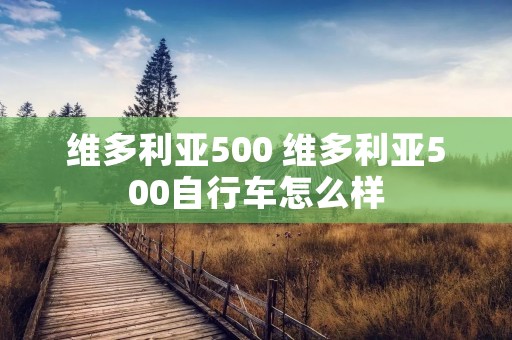 维多利亚500 维多利亚500自行车怎么样 维多利亚500 维多利亚500自行车怎么样