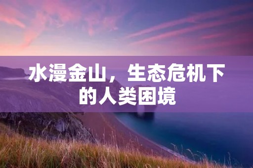水漫金山，生态危机下的人类困境