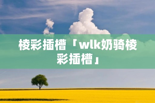 棱彩插槽「wlk奶骑棱彩插槽」 棱彩插槽「wlk奶骑棱彩插槽」