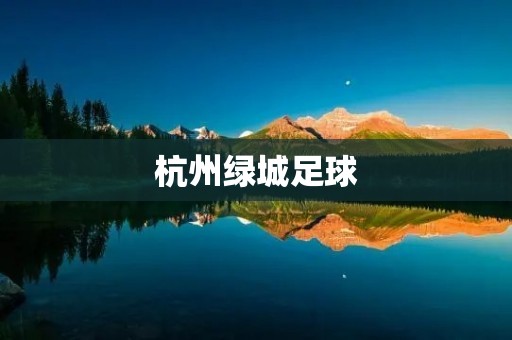 杭州绿城足球：绿茵上的杭城骄子