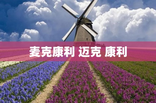 麦克康利 迈克 康利