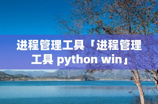 进程管理工具「进程管理工具 python win」