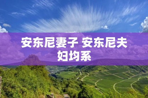 安东尼妻子 安东尼夫妇均系