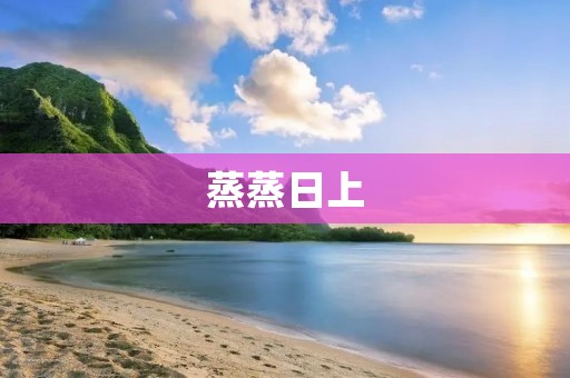 蒸蒸日上:中国经济的崛起与发展