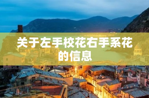 关于左手校花右手系花的信息 关于左手校花右手系花的信息