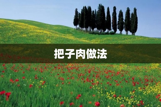 把子肉做法:美味佳肴的制作秘籍 把子肉做法:美味佳肴的制作秘籍