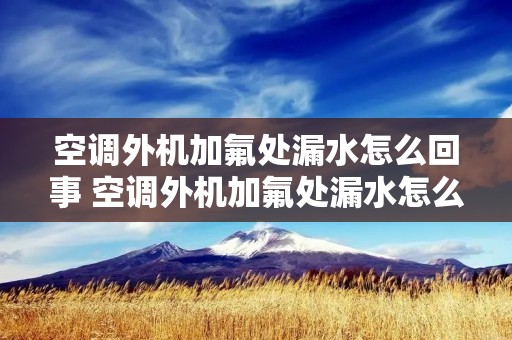 空调外机加氟处漏水怎么回事 空调外机加氟处漏水怎么回事儿