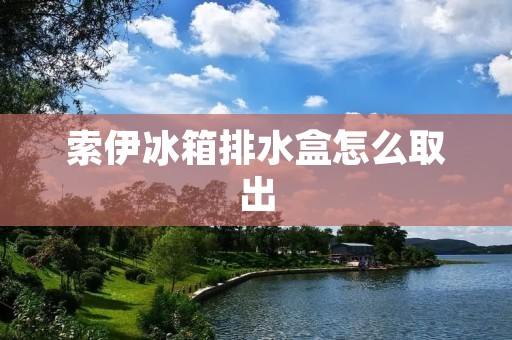 索伊冰箱排水盒怎么取出 索伊冰箱排水盒怎么取出