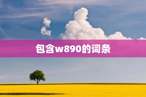 包含w890的词条