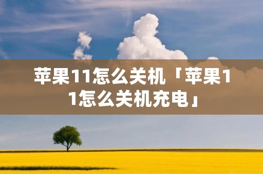 苹果11怎么关机「苹果11怎么关机充电」