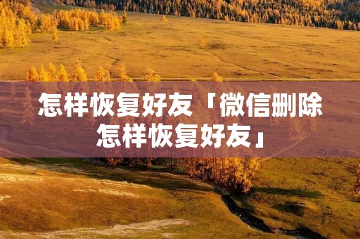 怎样恢复好友「微信删除怎样恢复好友」