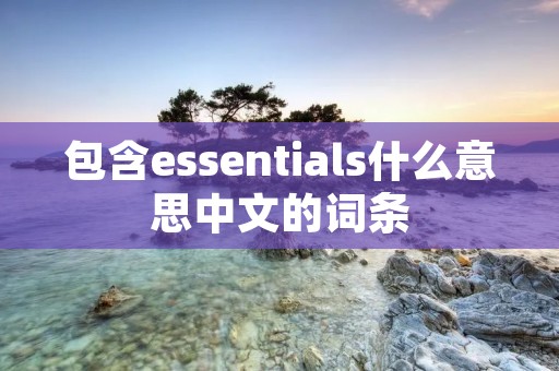 包含essentials什么意思中文的词条