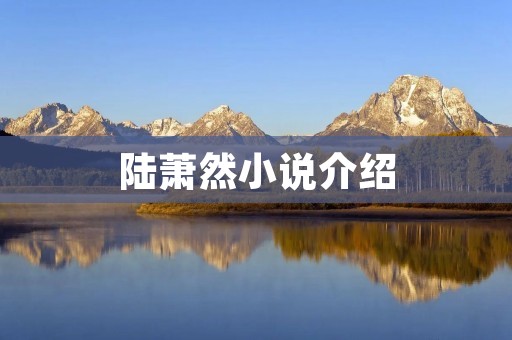 陆萧然小说介绍