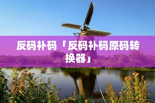 反码补码「反码补码原码转换器」